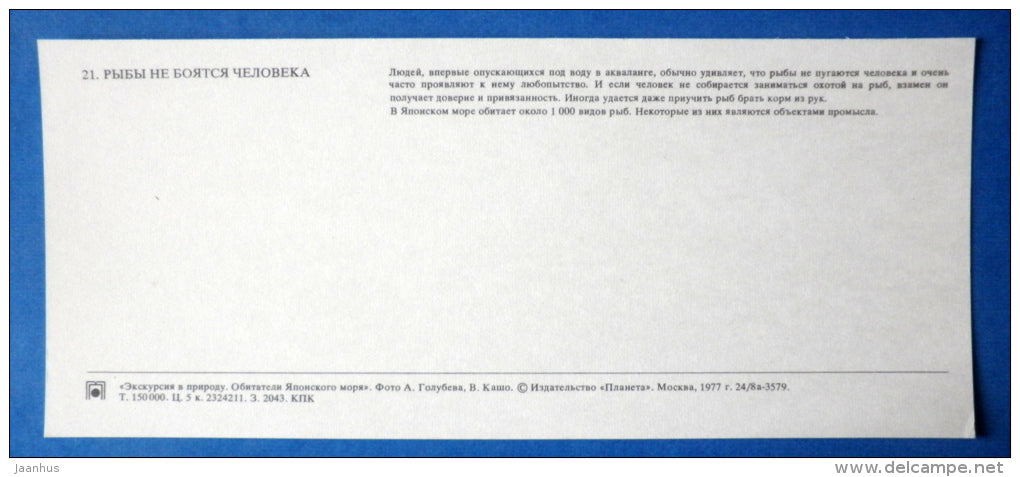 fishes - Japanese sea - 1977 - Russia USSR - unused - JH Postcards