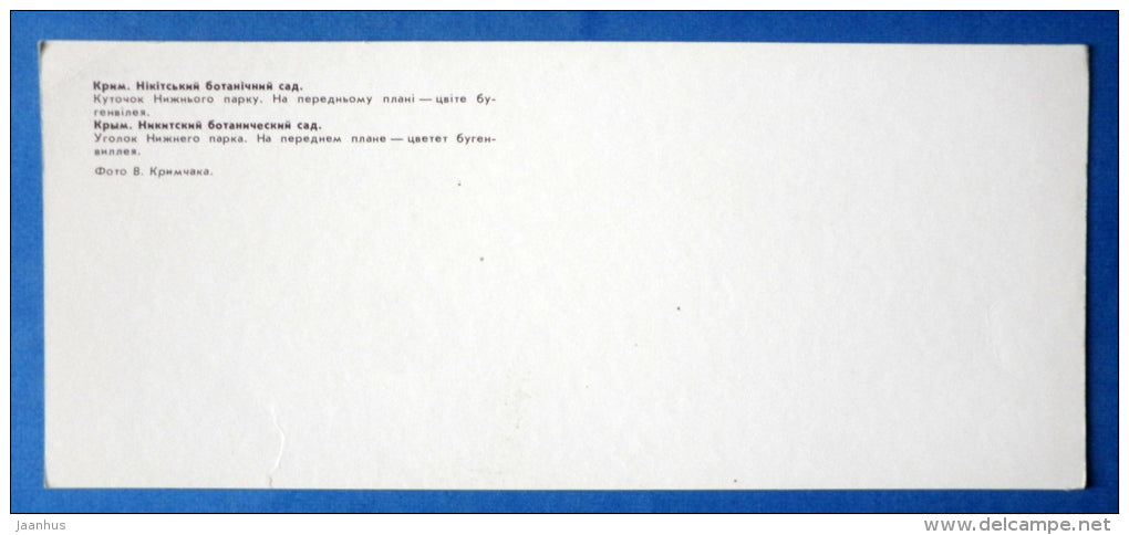 Bougainvillea - Nikitsky Botanical Garden - 1981 - Ukraine USSR - unused - JH Postcards