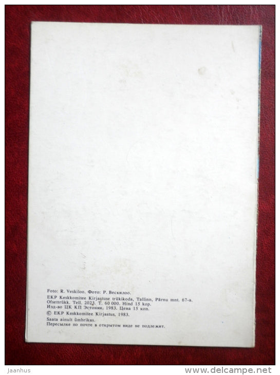 New Year Greeting card - candle - decorations - 1983 - Estonia USSR - used - JH Postcards