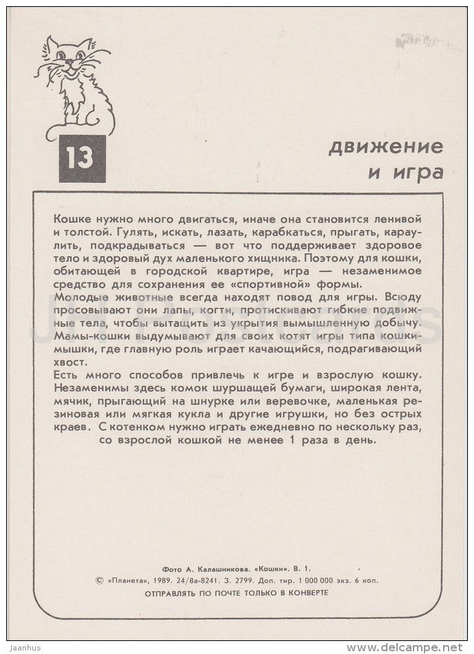 Seal Point Siamese Cat - cats - Russia USSR - 1989 - unused - JH Postcards