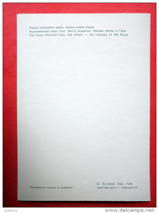 The Amata river - the tributary of the Gauja river - Gauja National Park - 1981 - Latvia USSR - unused - JH Postcards