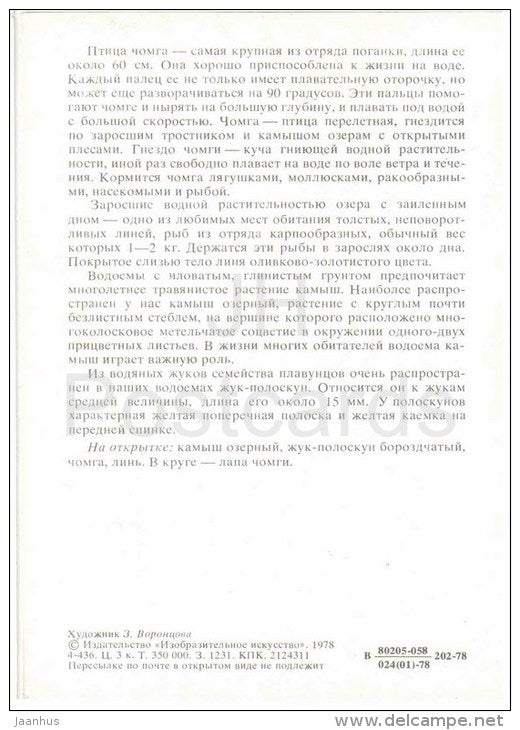 Great crested grebe - Acilius sulcatus , beetle - burbot - 1978 - Russia USSR - unused - JH Postcards