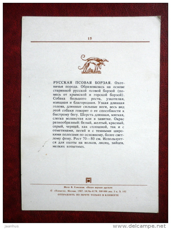 Russian Borzoi - dogs - 1987 - Russia USSR - unused - JH Postcards