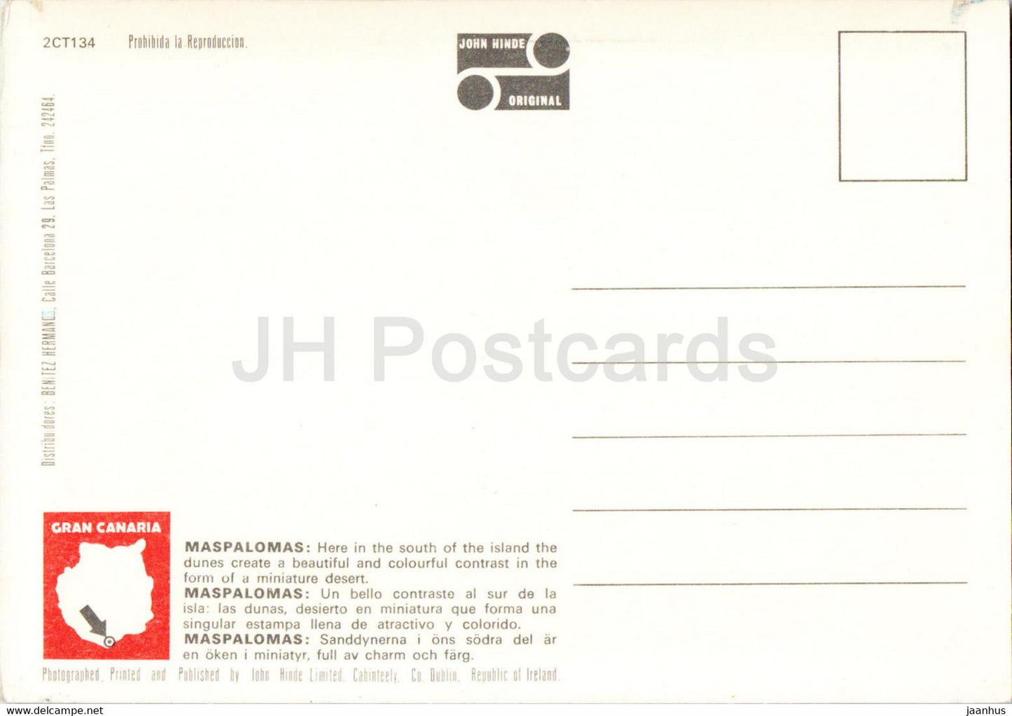 Camels and Dunes at Maspalomas - camel - animals - Gran Canaria - Spain - unused