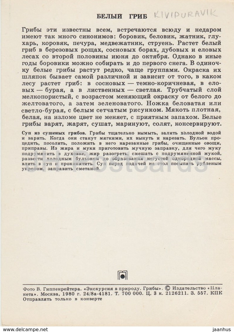 Penny Bun mushroom - Boletus edulis - Mushrooms - 1980 - Russia USSR - unused - JH Postcards