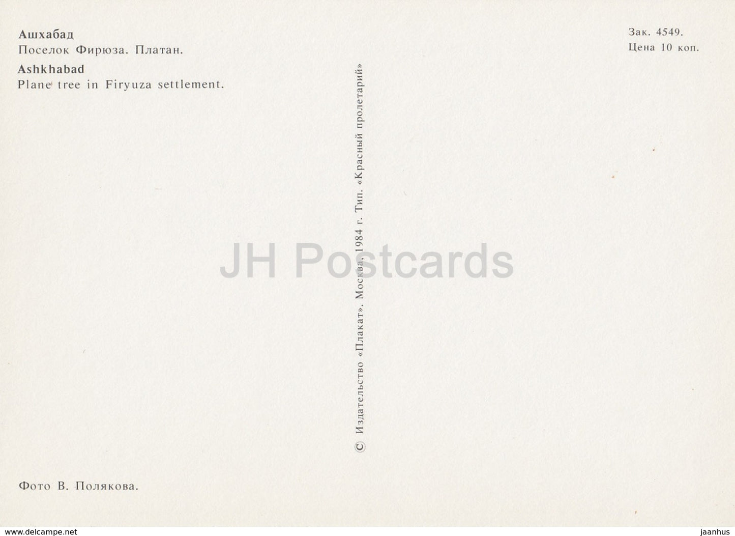 Achgabat - Ashkhabad - Platane dans la colonie de Firyuza - 1984 - Turkménistan - inutilisé