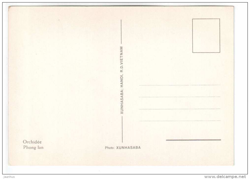 white orchid 1 - flowers - Vietnam - unused - JH Postcards