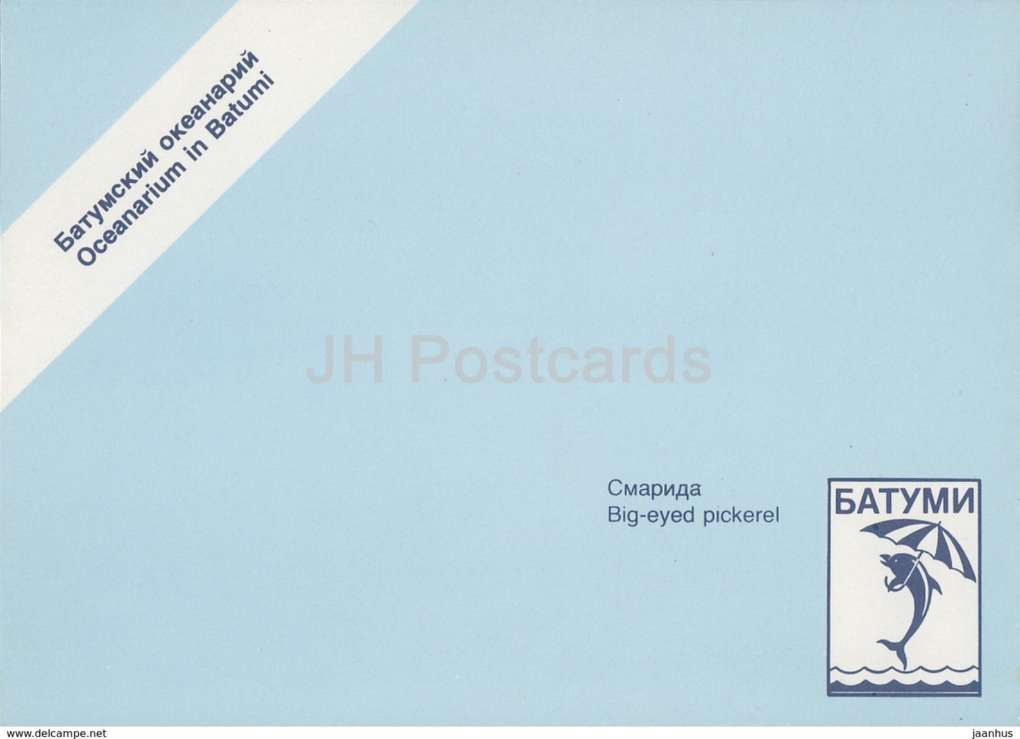 big-eyed pickerel - fish - Oceanarium in Batumi - 1989 - Georgia USSR - unused - JH Postcards