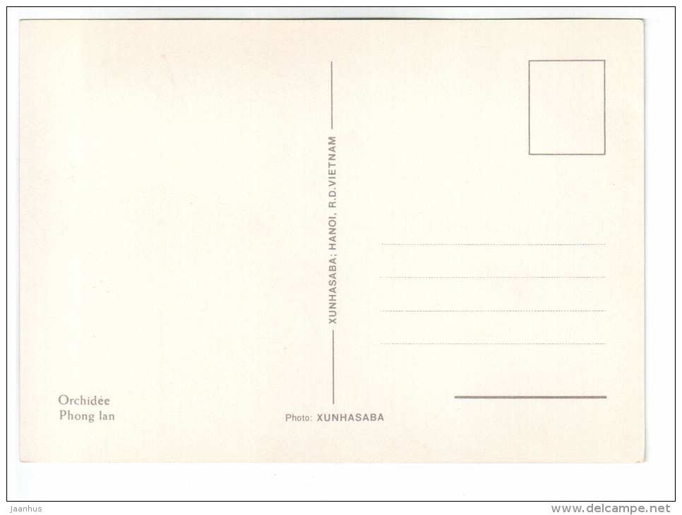 lilac orchid - flowers - Vietnam - unused - JH Postcards