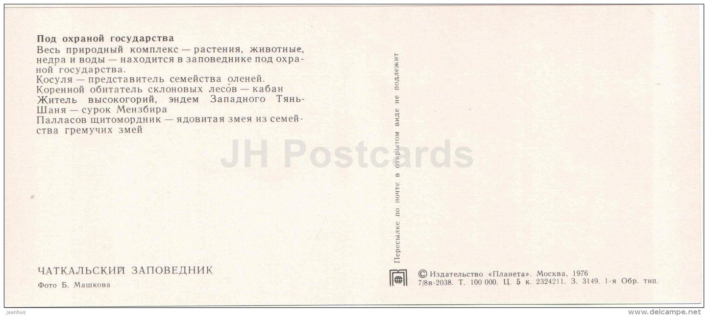 Roe Deer - Siberian pit viper - Gloydius halys - Chatkalsky National Park - 1976 - Uzbekistan USSR - unused - JH Postcards