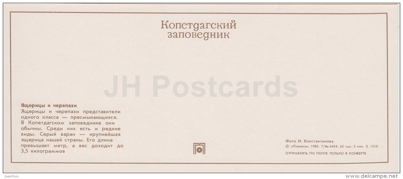 lizards and turtles - Caspian Monitor - Kopet Dagh Nature Reserve - 1985 - Turkmenistan USSR - unused - JH Postcards