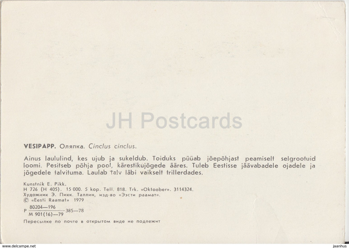 White-throated dipper - Cinclus cinclus - illustration by E. Pikk - birds - animals - 1979 - Estonia USSR - unused - JH Postcards