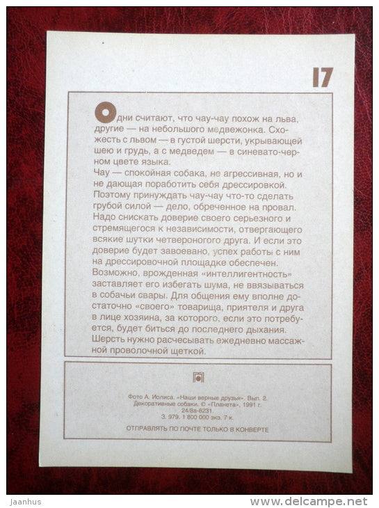 Chow Chow - dogs - 1991 - Russia - USSR - unused - JH Postcards