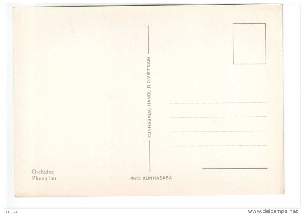 lilac orchid 1 - flowers - Vietnam - unused - JH Postcards