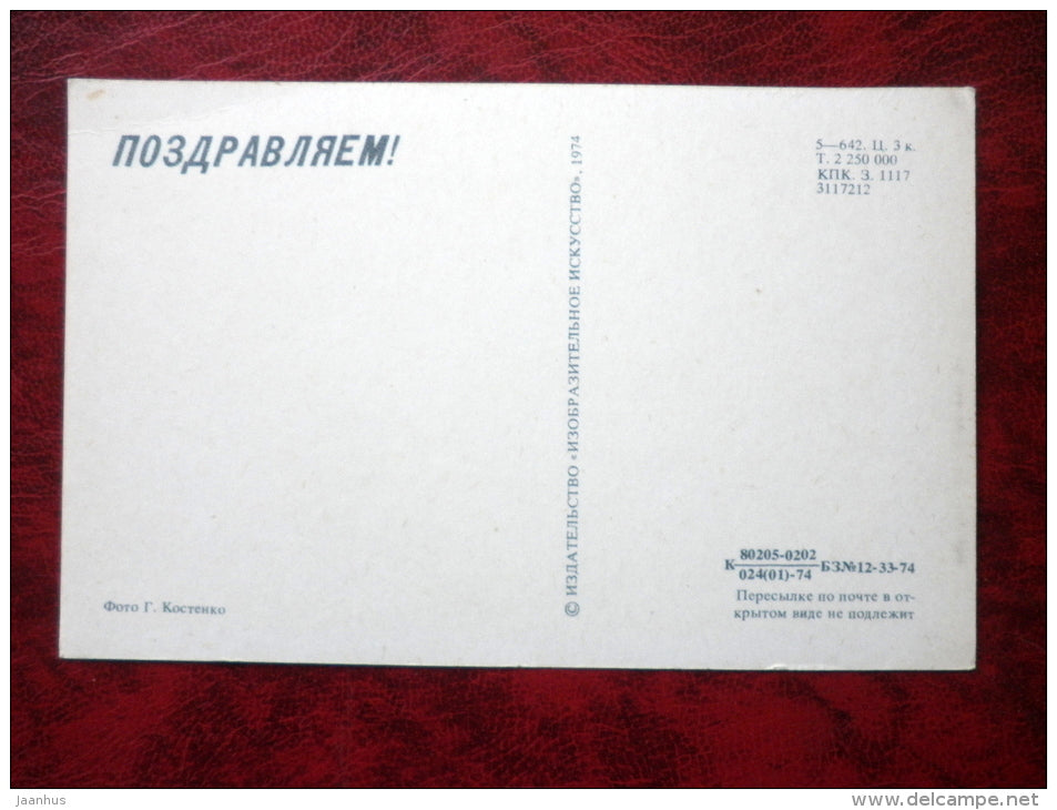 Birthday Greeting Card - flowers - 1974 - Russia - USSR - unused - JH Postcards