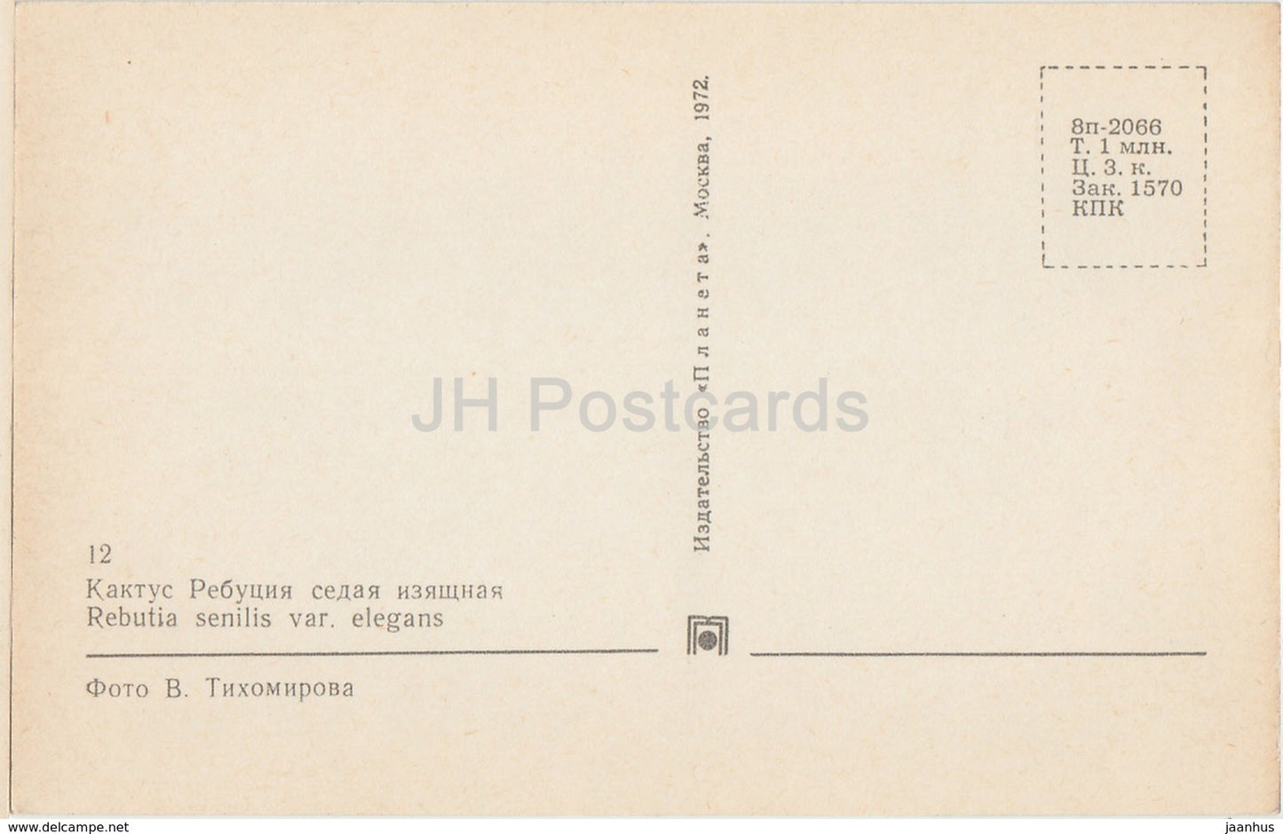 Rebutia senilis var. elegans - Cactus - Flowers - 1972 - Russia USSR - unused - JH Postcards