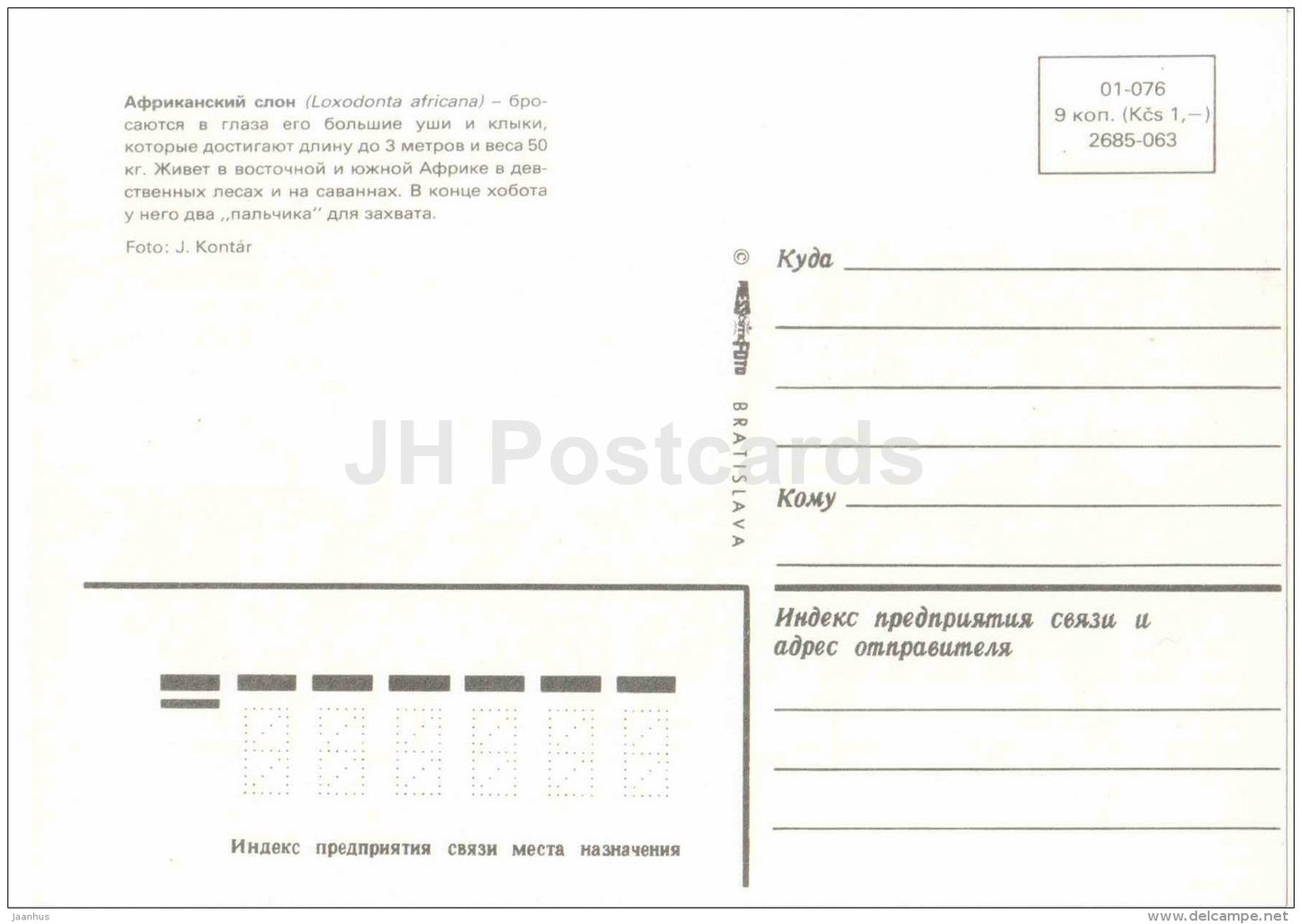 African bush elephant - Loxodonta africana - animal - Zoo Animals - Czehoslovakia - unused - JH Postcards