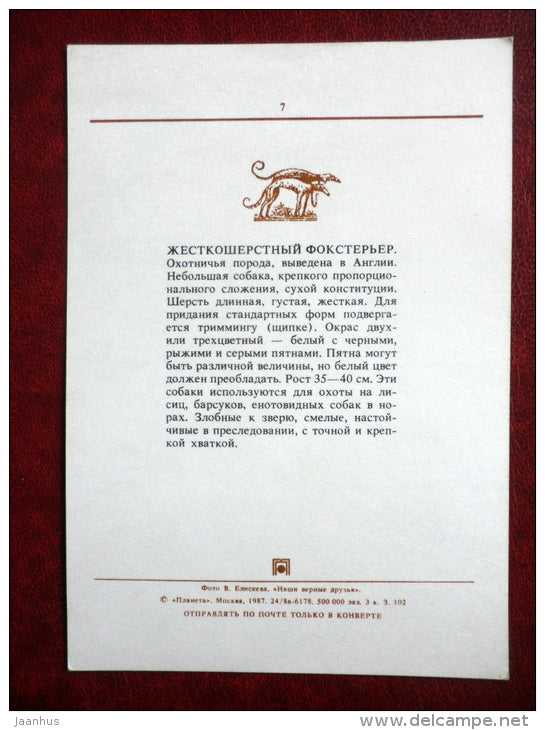 Wire Haired Fox Terrier - dogs - 1987 - Russia USSR - unused - JH Postcards