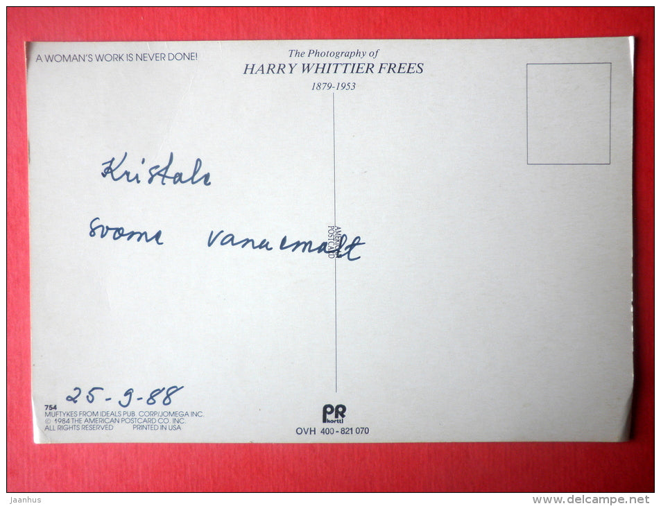 the photography of Harry Whittiew Frees - ironing cat - board - iron - 754 - USA - circulated in Finland 1988 - JH Postcards