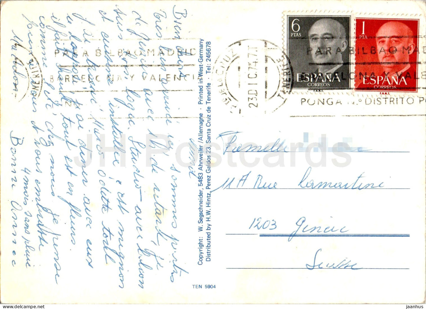 Tenerife - Puerto de la Cruz - animals - camel - multiview - 5904 - 1974 - Spain - used