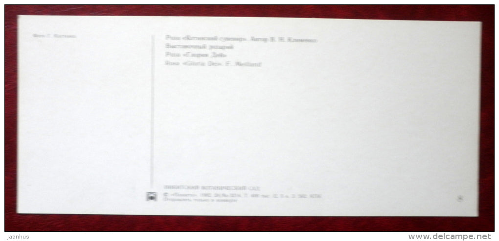 rosarium - rose Gloria Dei - rose Yalta souvenir - roses - Nikitsky Botanical Garden - 1982 - Ukraine USSR - unused - JH Postcards