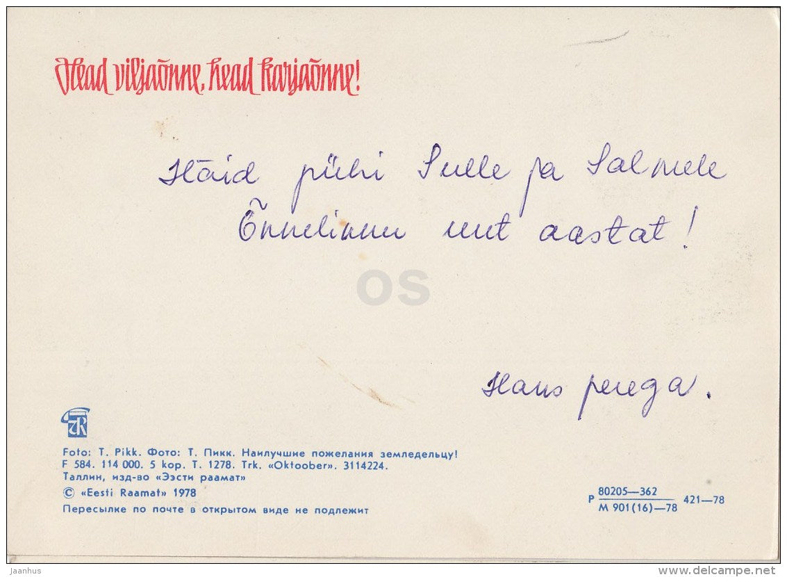 New Year Greeting card - 2 - corn - apples - 1978 - Estonia USSR - used - JH Postcards