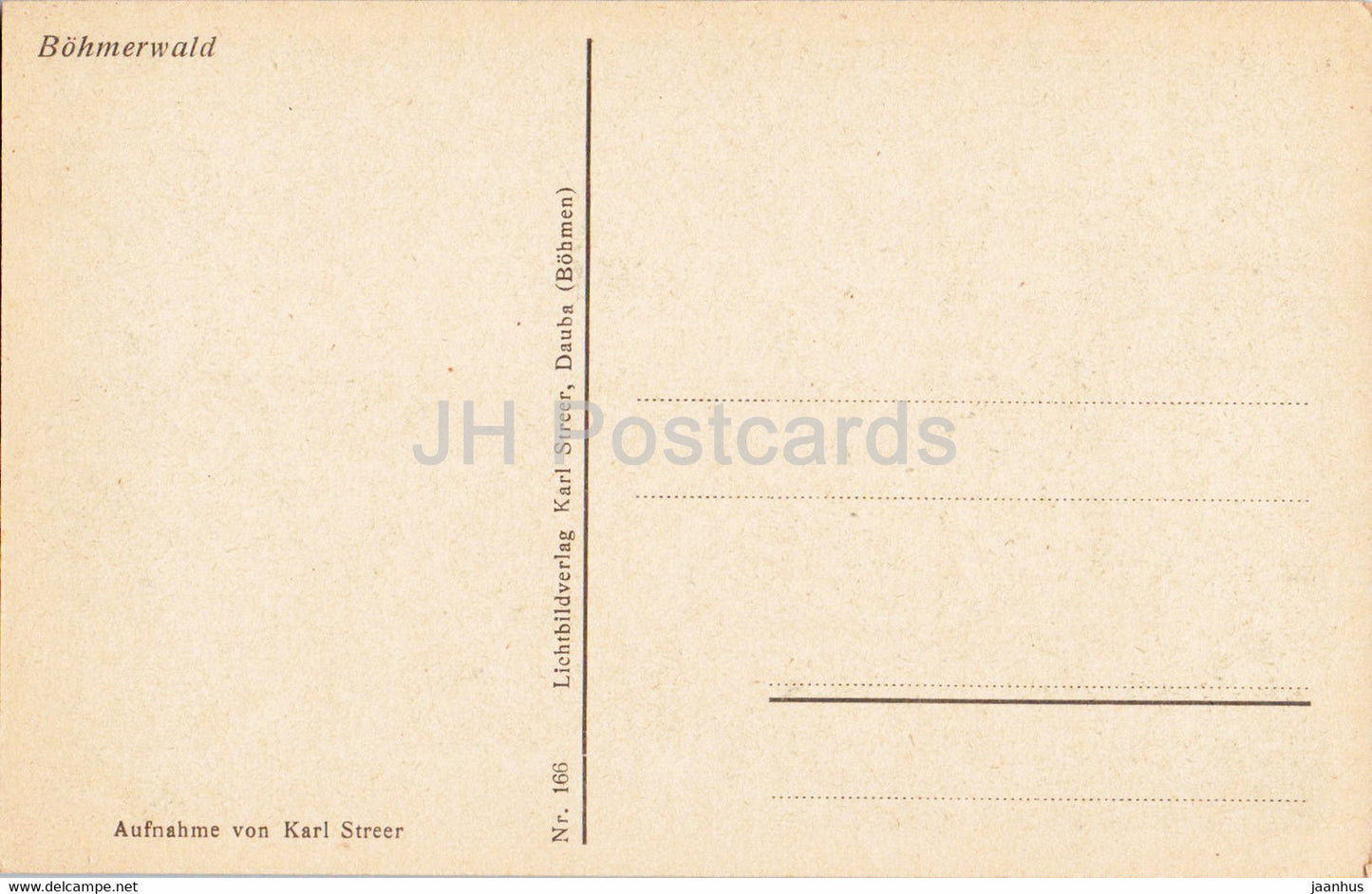 Urwald am Kubany - Böhmerwald - alte Postkarte - Tschechien - unbenutzt