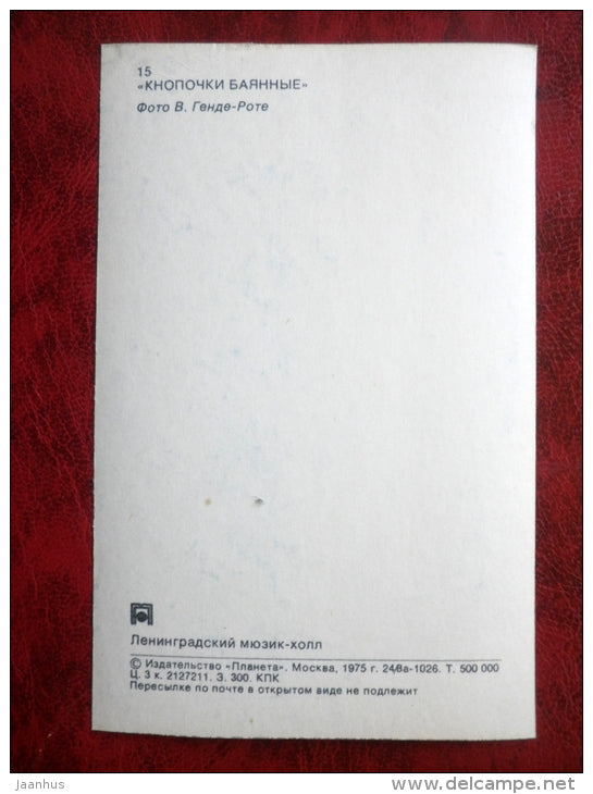 Accordion Buttons - show - performance - Leningrad Music Hall - 1975 - Russia USSR - unused - JH Postcards