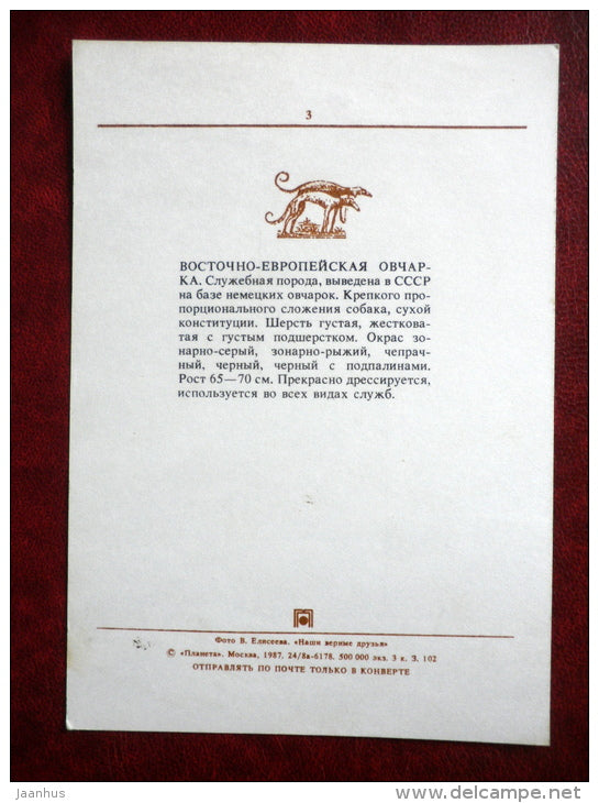 East-European Shepherd - dogs - 1987 - Russia USSR - unused - JH Postcards