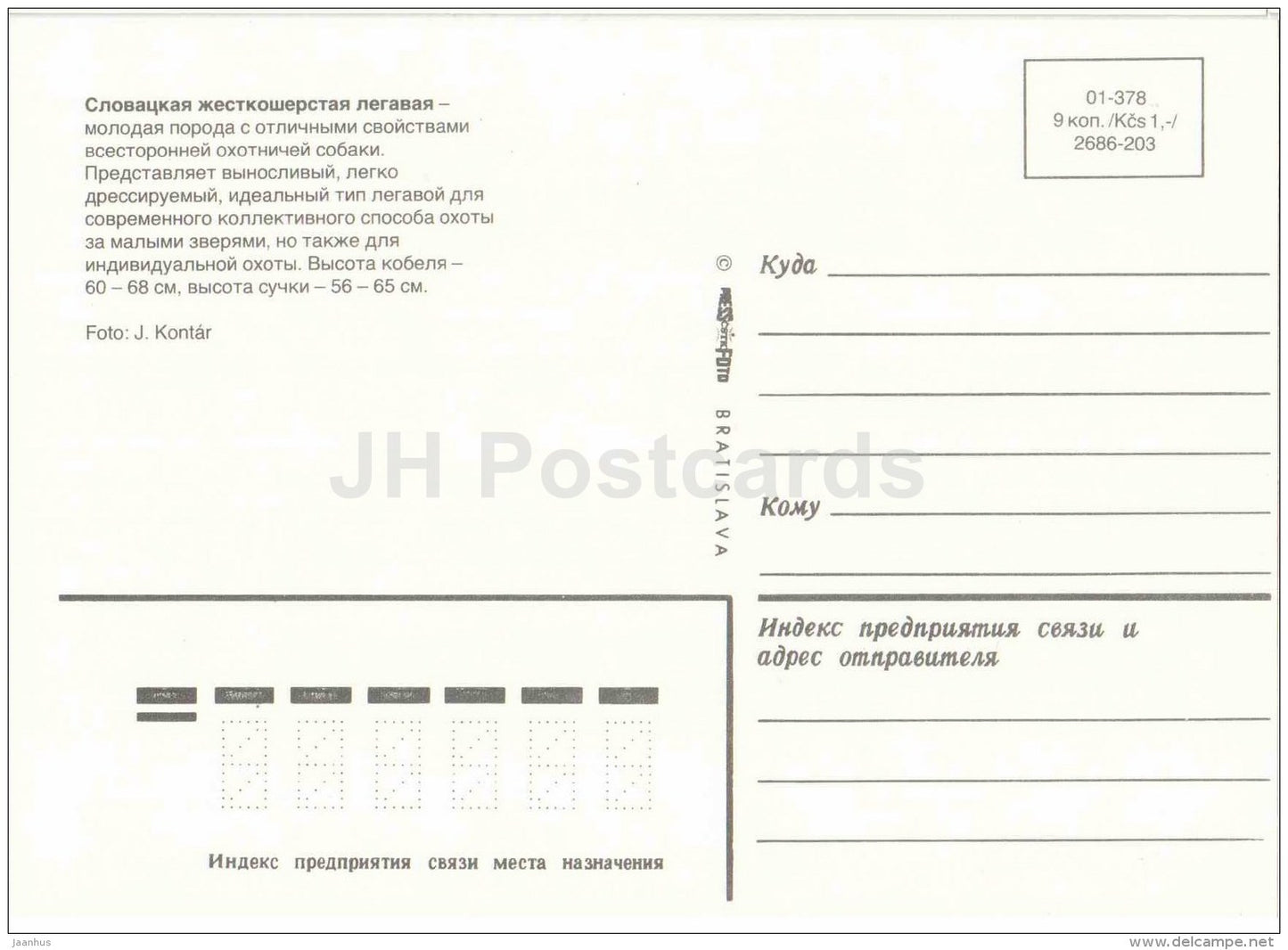 Slovak Rough-haired Pointer - dog - Russia USSR - unused - JH Postcards