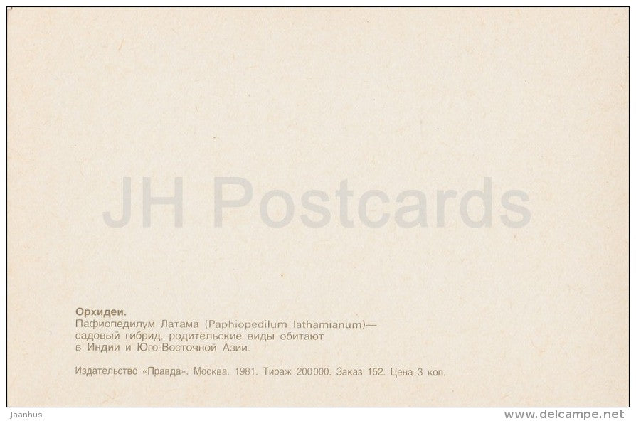 Paphiopedilum lathaianum - flowers - Orchid - Russia USSR - 1981 - unused - JH Postcards