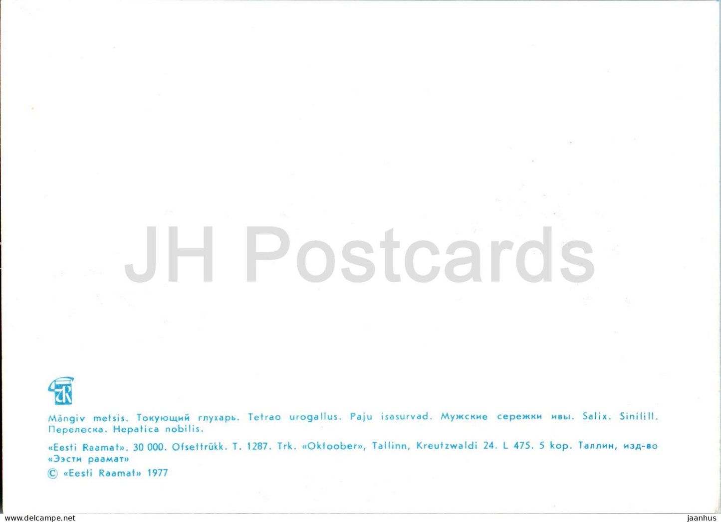 Western capercaillie - Tetrao urogallus - Hepatica nobilis - birds - plants - 1977 - Estonia USSR - unused