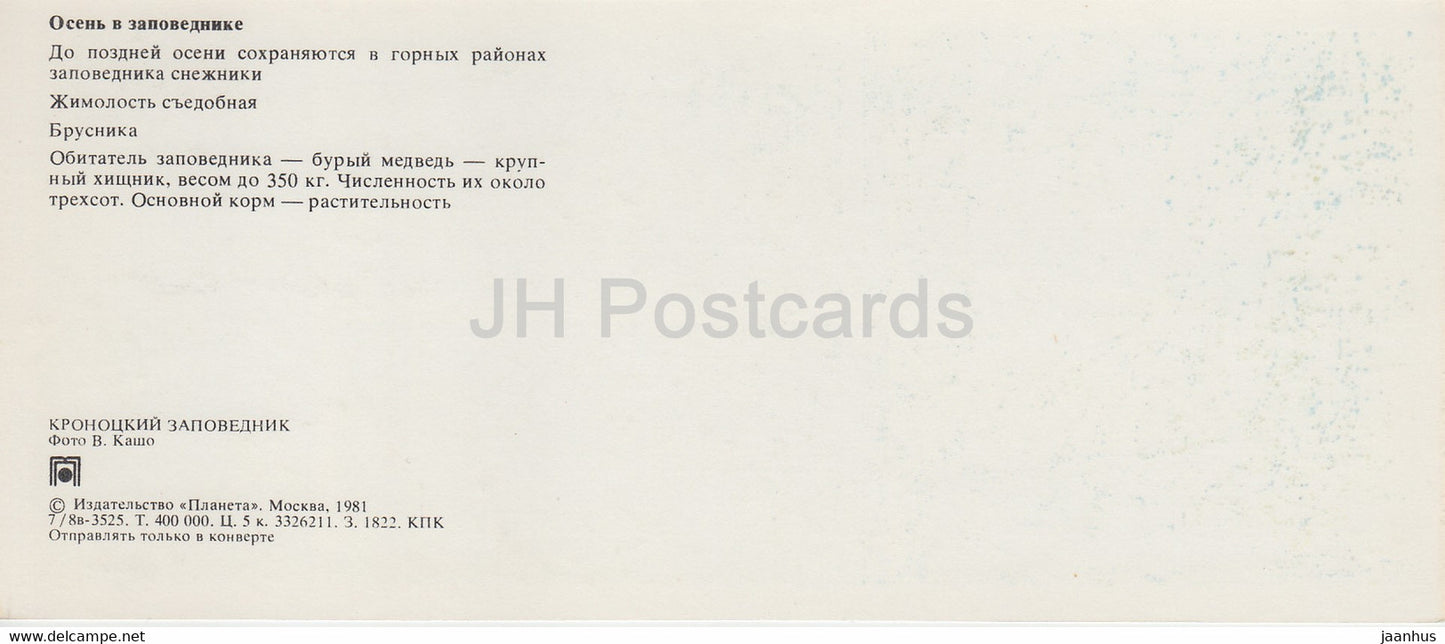 Kronotsky Nature Reserve - bear - cowberry - blueberry - 1981 - Russia USSR - unused