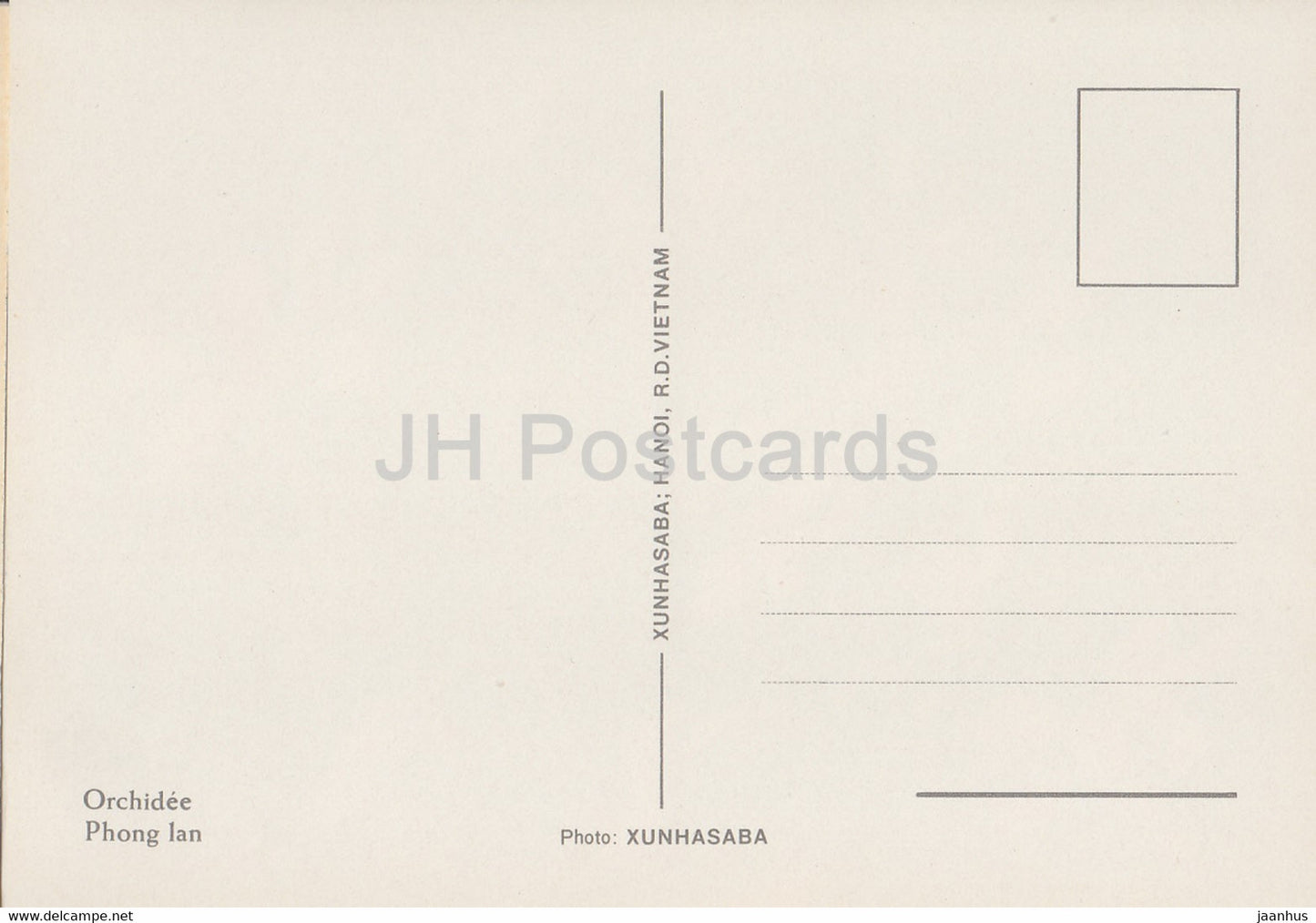 Orchid - Phong Lan - white - flowers - Vietnam - unused