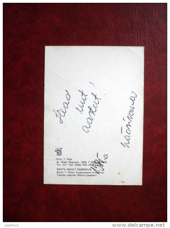 New Year mini Greeting card - Gingerbread - apples - flowers - 1985 - Estonia USSR - used - JH Postcards