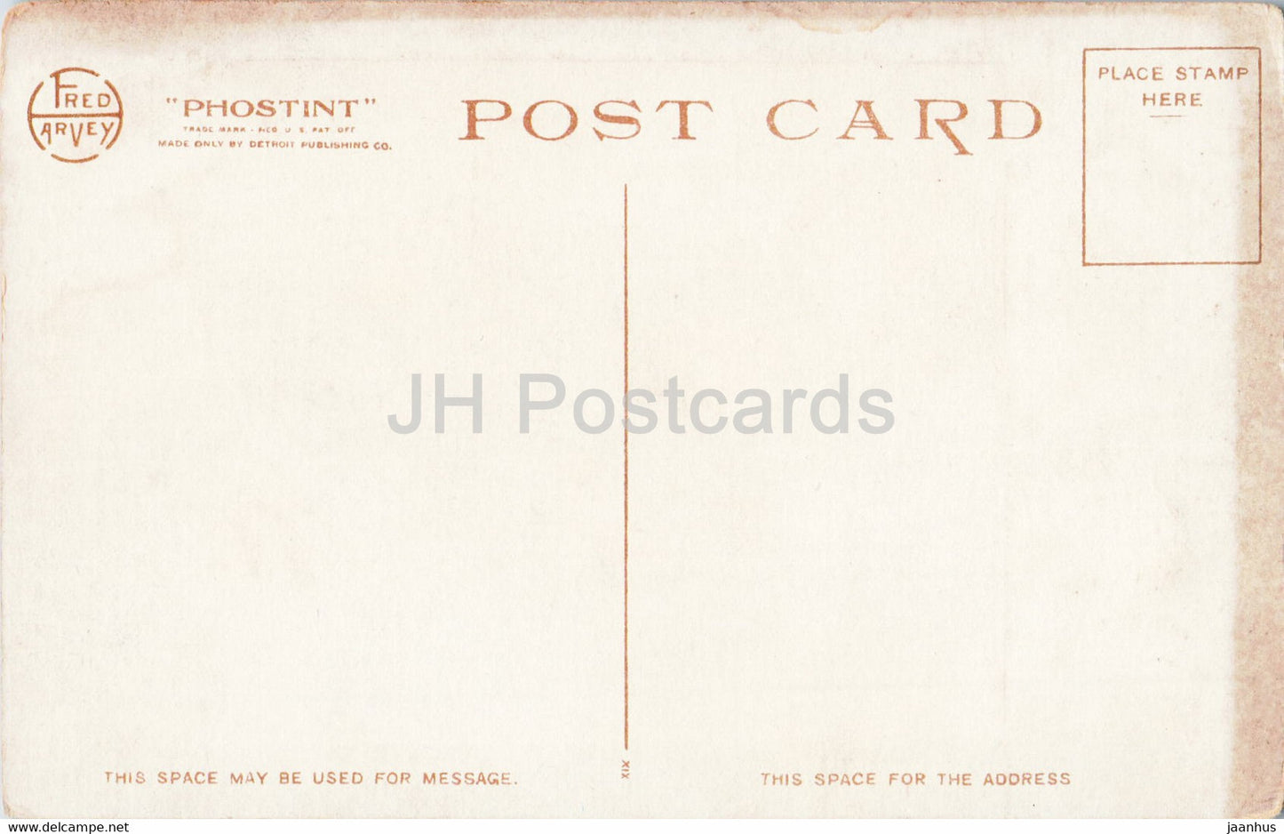 Jahrhundertpflanze in Blüte - Fred Harvey - 7781 - alte Postkarte - USA - unbenutzt