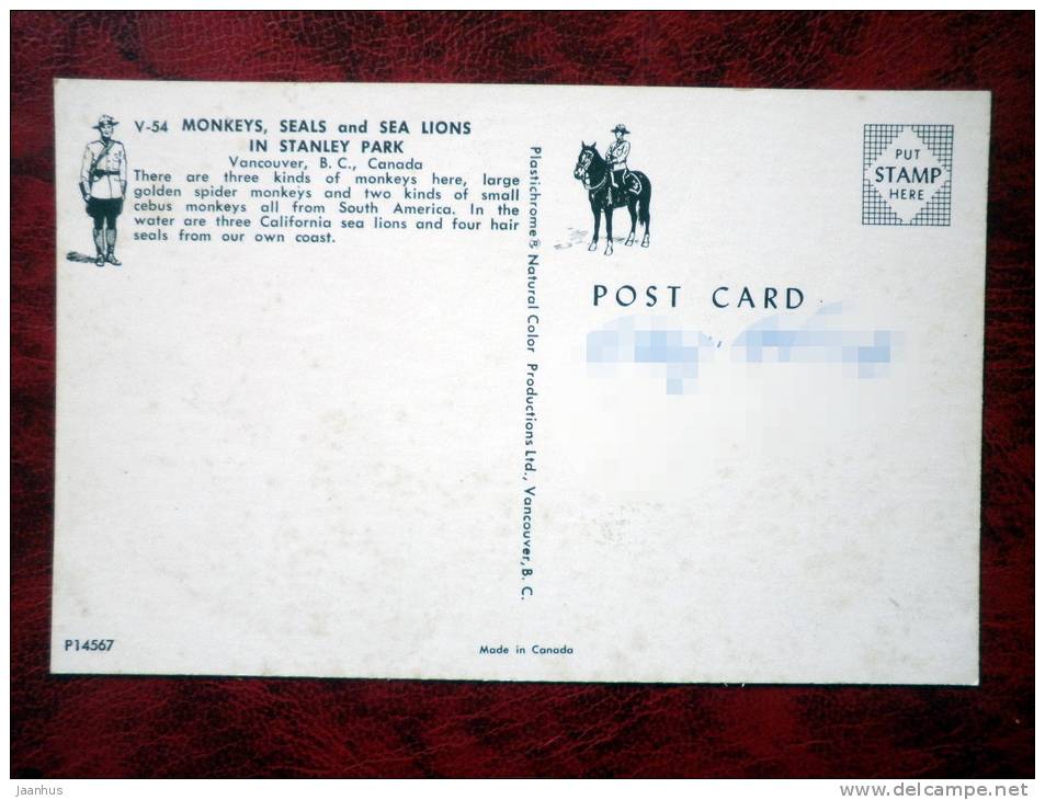 Monkeys, Seals and Sea Lions in Stanley Park - Vancouver - British Columbia - Canada - used - JH Postcards