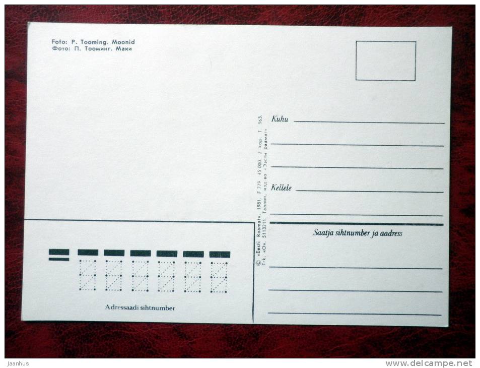 Poppy - flowers - 1981 - Estonia - USSR - unused - JH Postcards