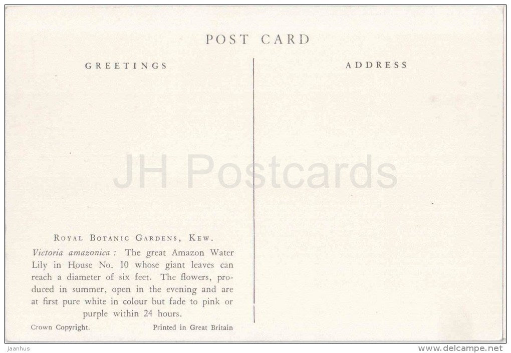 The Great Amazon Water Lily - Royal Botanic Gardens - Kew - England - United Kingdom - unused - JH Postcards