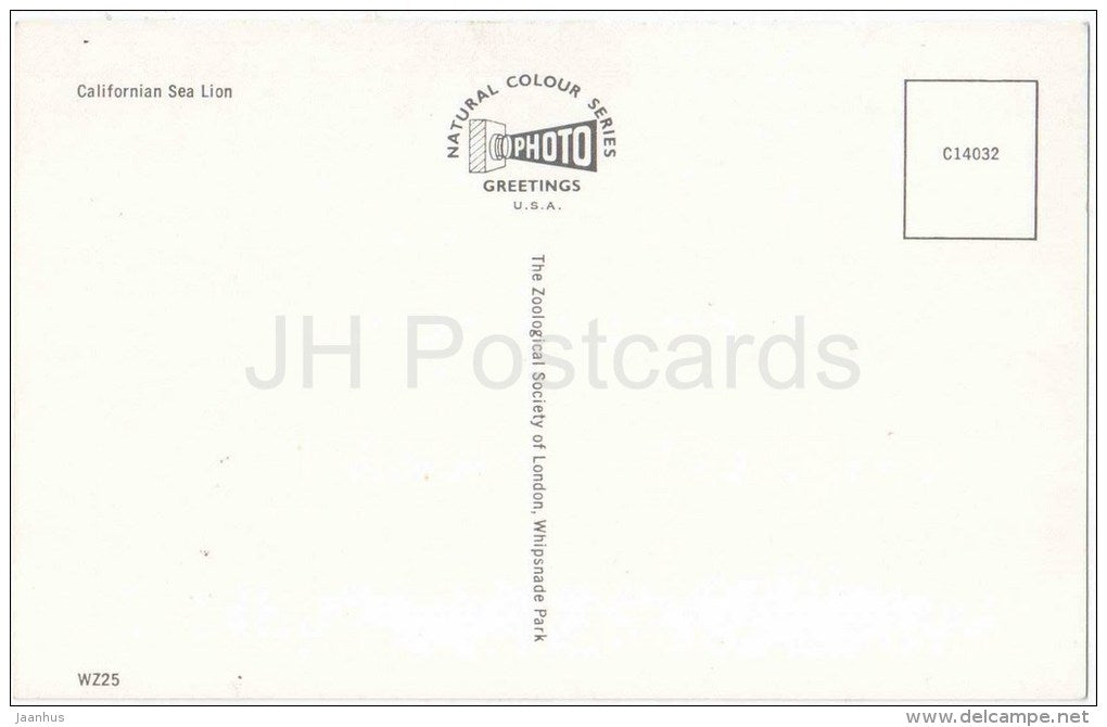 Californian Sea Lion - Zalophus californianus - WZ 25 - animals - USA - unused - JH Postcards