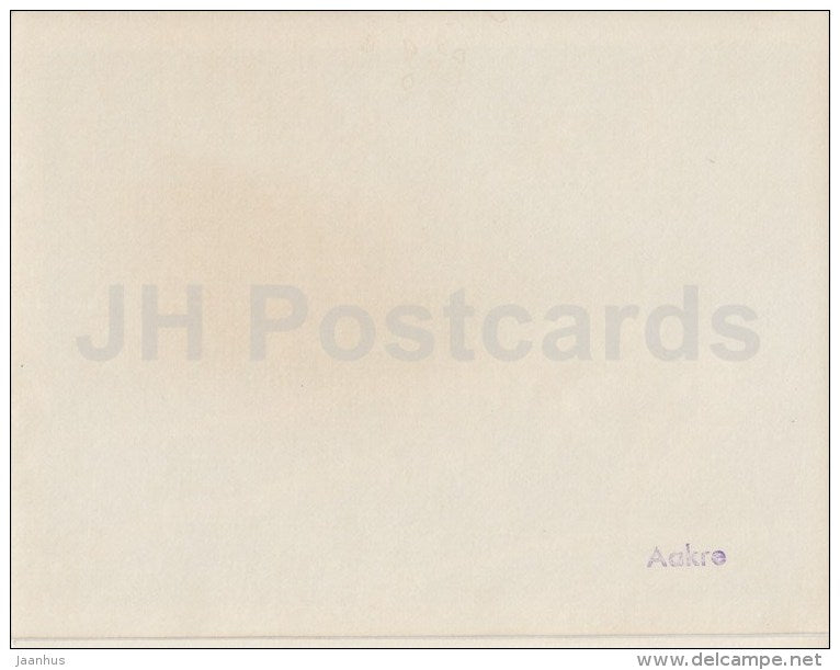 wild boar - photo - Estonia USSR - unused - JH Postcards