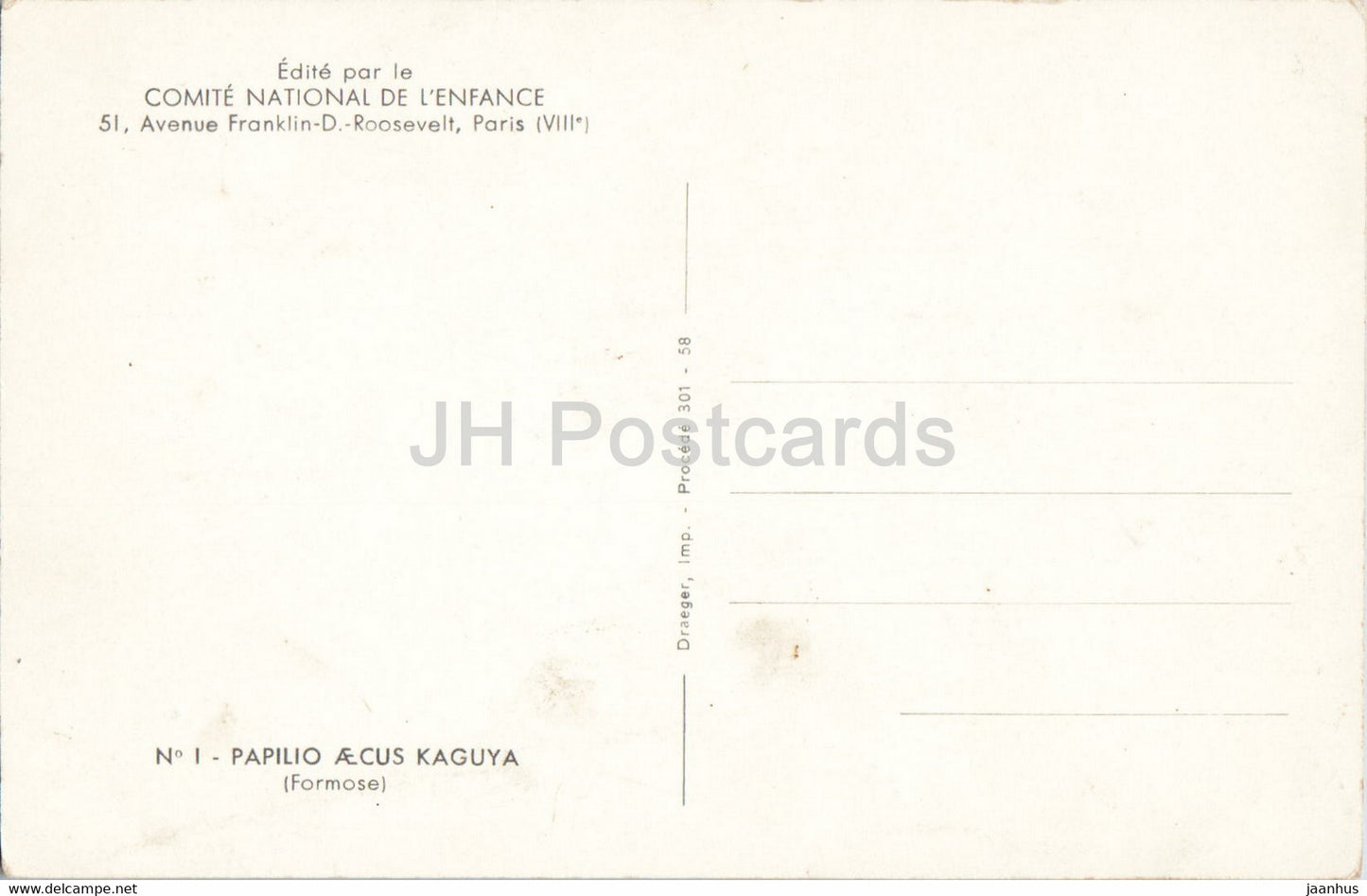 Papilio Aecus Kaguya - butterfly - old postcard - France - unused