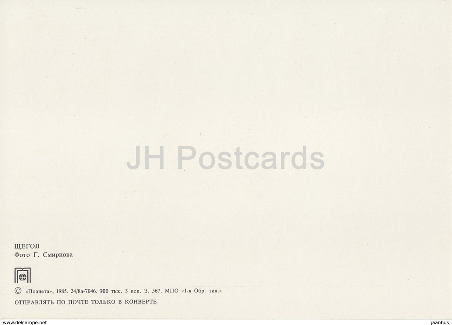 Europäischer Stieglitz - Carduelis carduelis - Vögel - 1985 - Russland UdSSR - unbenutzt