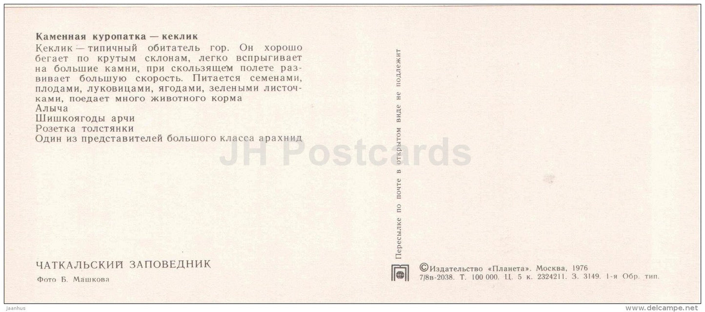 Chukar partridge - Alectoris chukar - cherry-plum - Chatkalsky National Park - 1976 - Uzbekistan USSR - unused - JH Postcards