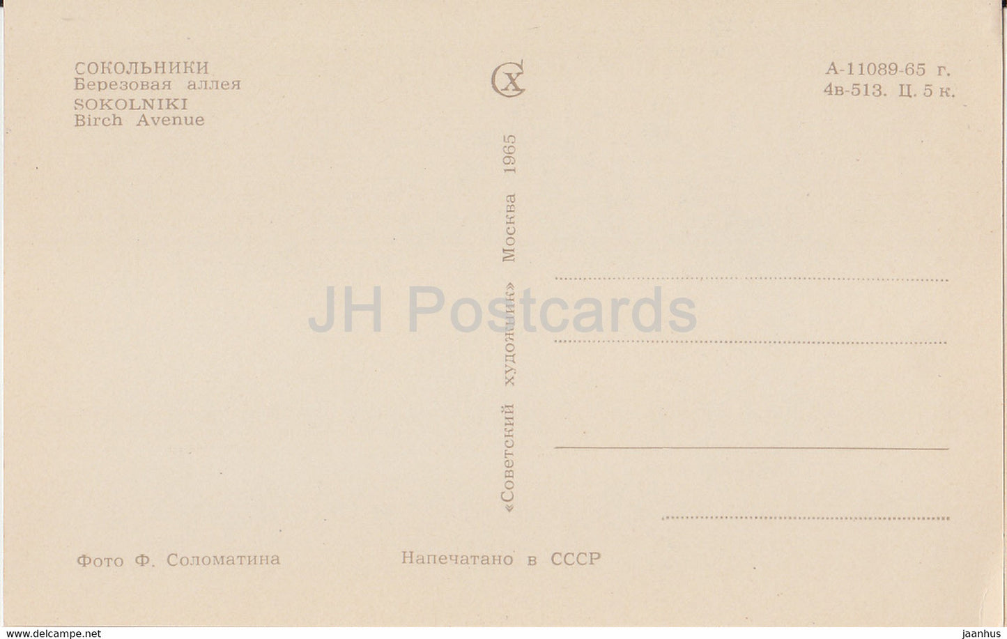 Moscow - Sokolniki - Birch Avenue - 1965 - Russia USSR - unused
