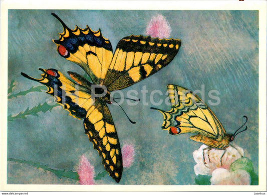 Old world swallowtail - Papilio machaon - butterfly - butterflies - 1976 - Russia USSR - unused - JH Postcards