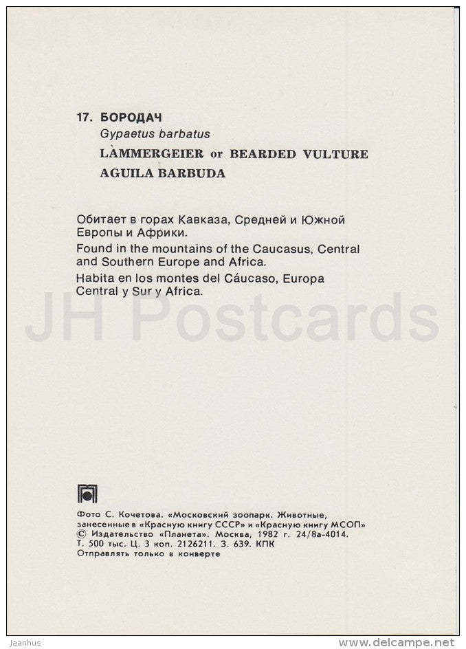 Bearded vulture - Gypaetus barbatus - bird - Moscow Zoo - 1982 - Russia USSR - unused - JH Postcards