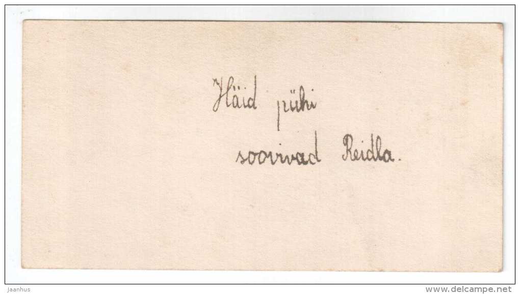 Easter mini Greeting Card - egg - chicken - flowers - old postcard - circulated in Estonia - used - JH Postcards