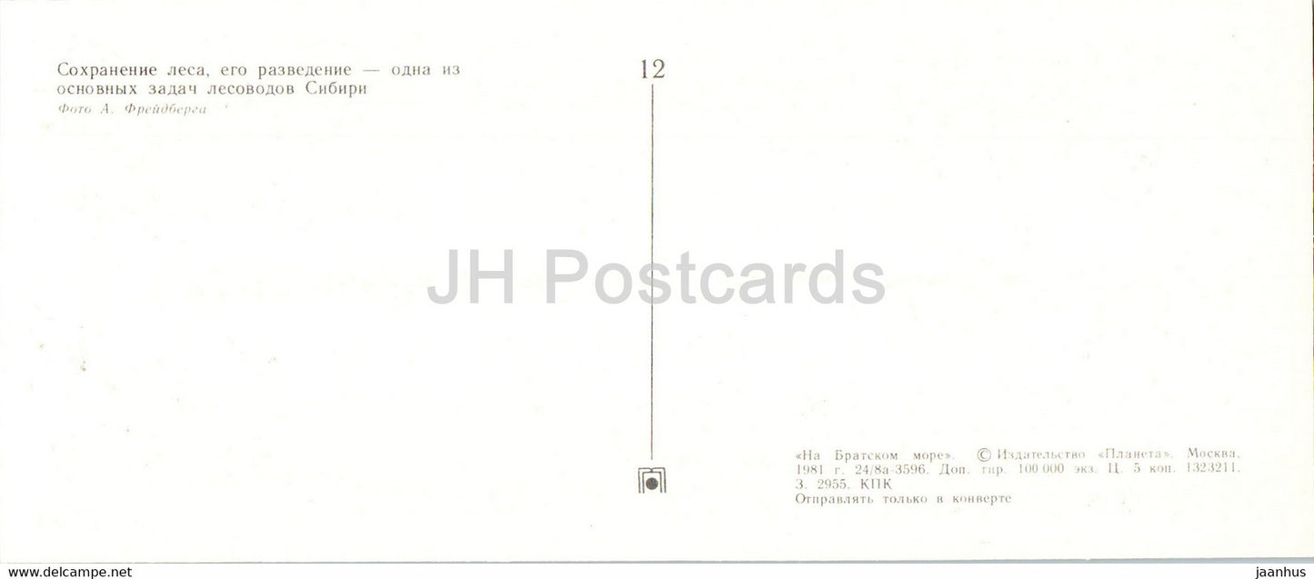 Réservoir de Bratsk - Forêt sibérienne - animaux - cerfs - cônes - 1981 - Russie URSS - inutilisé