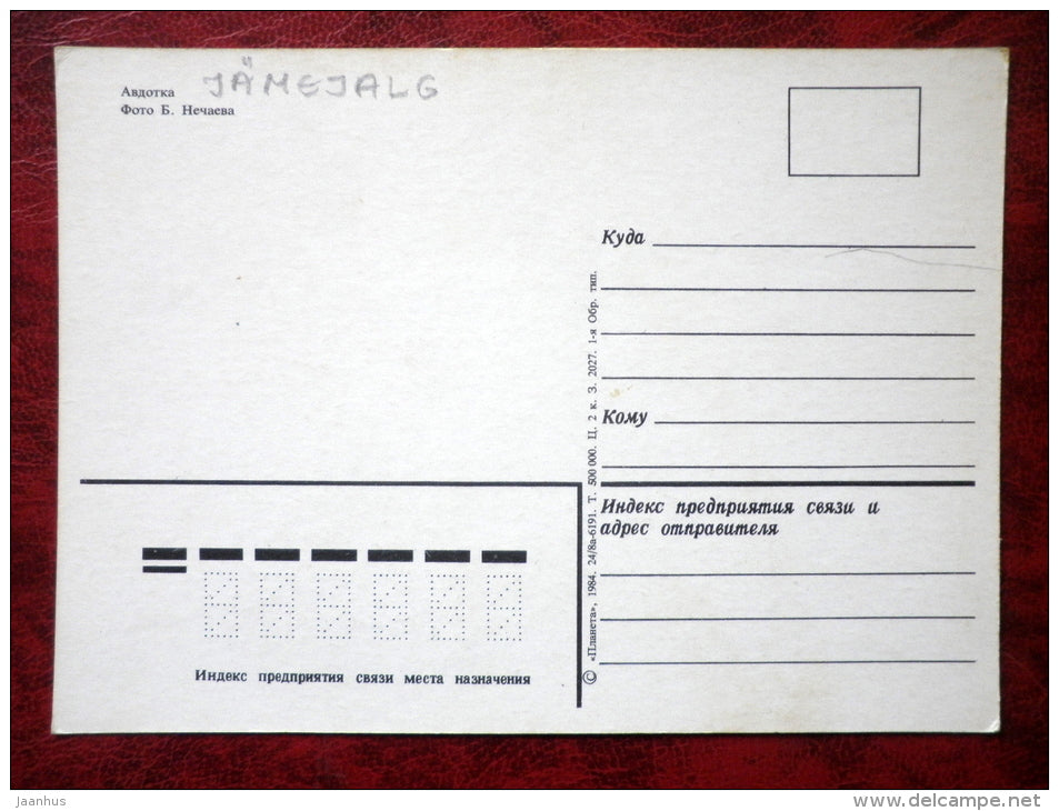 Eurasian Stone-curlew - Burhinus oedicnemus - birds - 1984 - Russia - USSR - used - JH Postcards